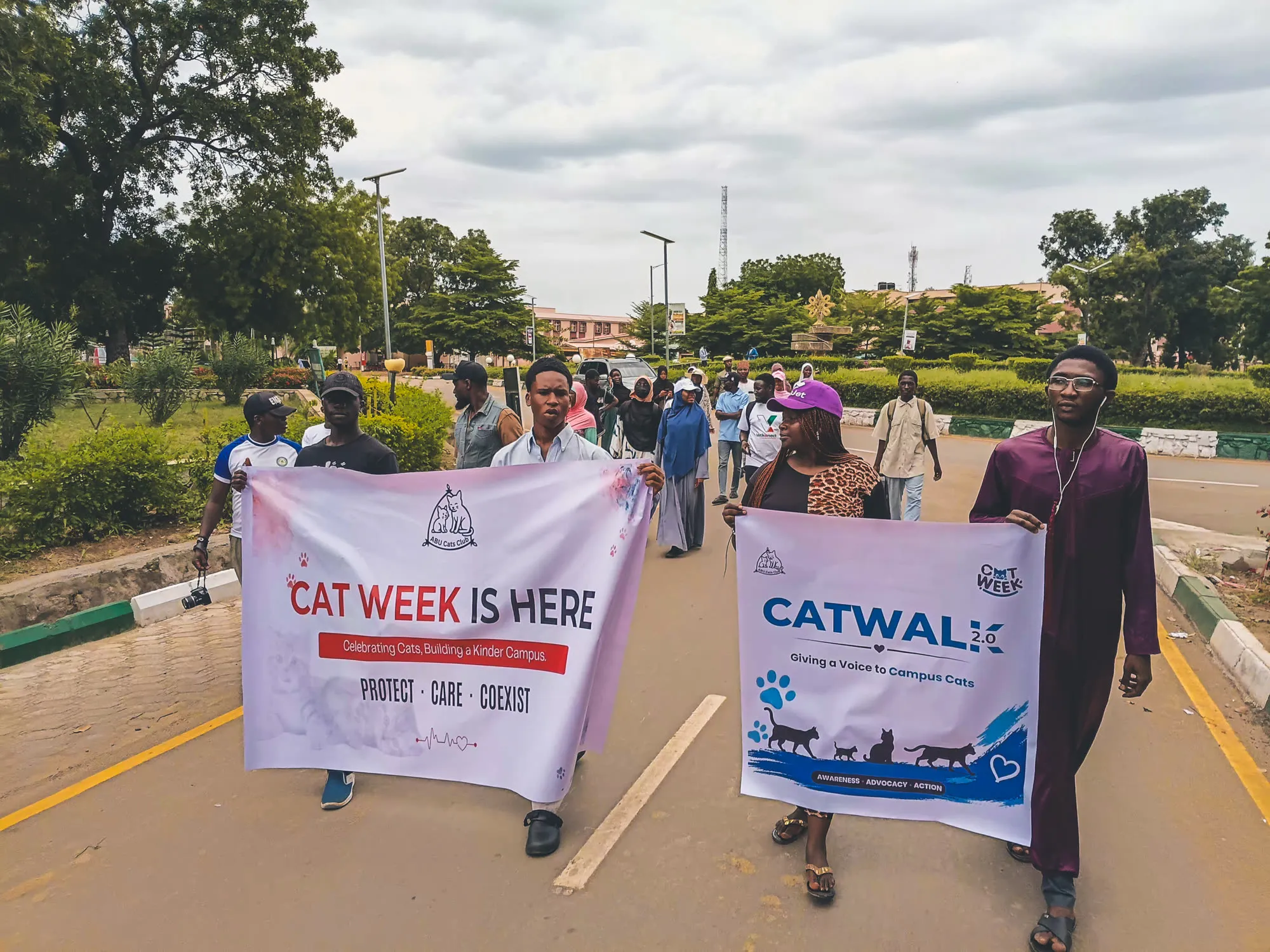 Cat Week & Catwalk — photograph 2