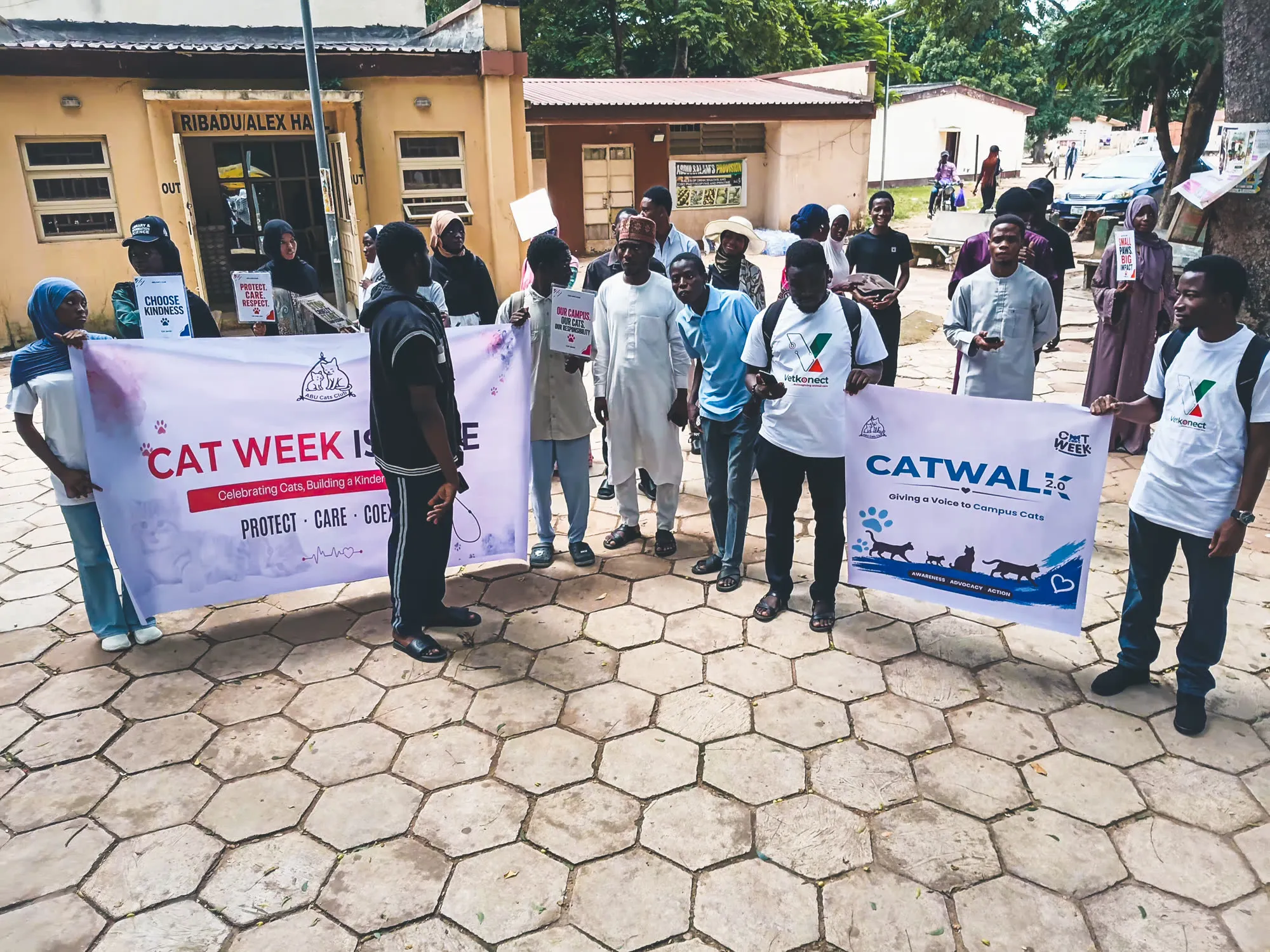 Catwalk 2.0